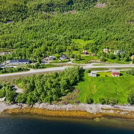 Valentina * 阿尔塔