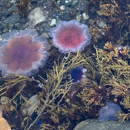 Feriehus Valentina *